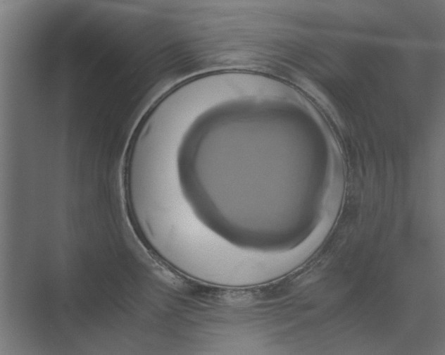 X0000073701291200608241407