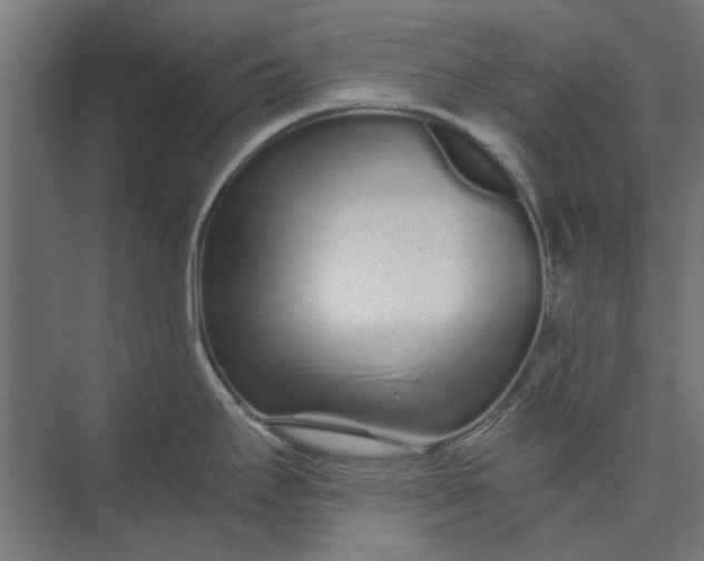 X0000073701295200608241407