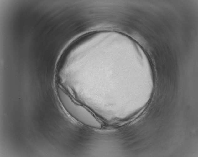 X0000073701296200608241407