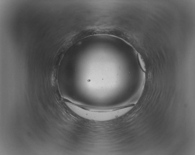 X0000073701300200608241406