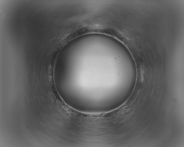 X0000073701301200608241406