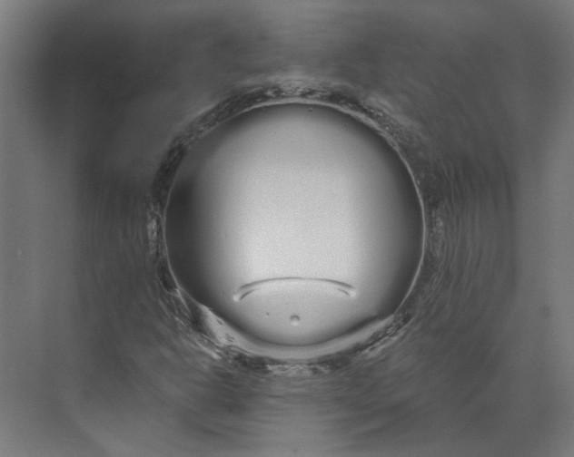 X0000073701302200608241406