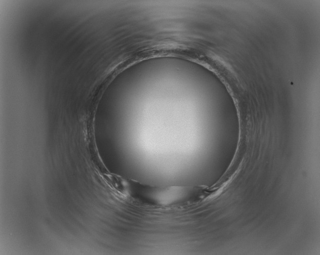 X0000073701305200608241407