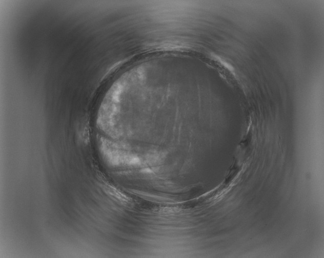 X0000073701306200608241407