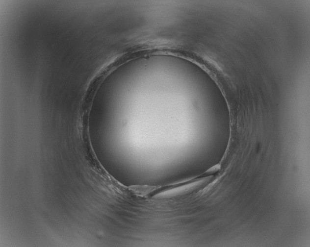 X0000073701309200608241407