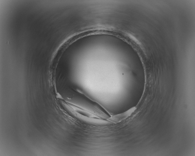 X0000073701310200608241407