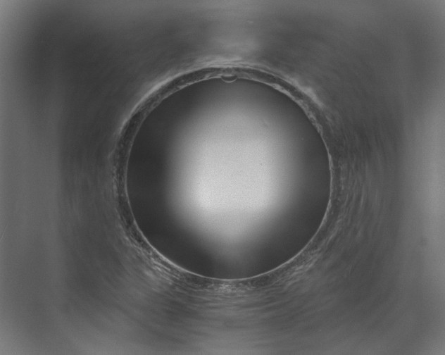 X0000073701311200608241407