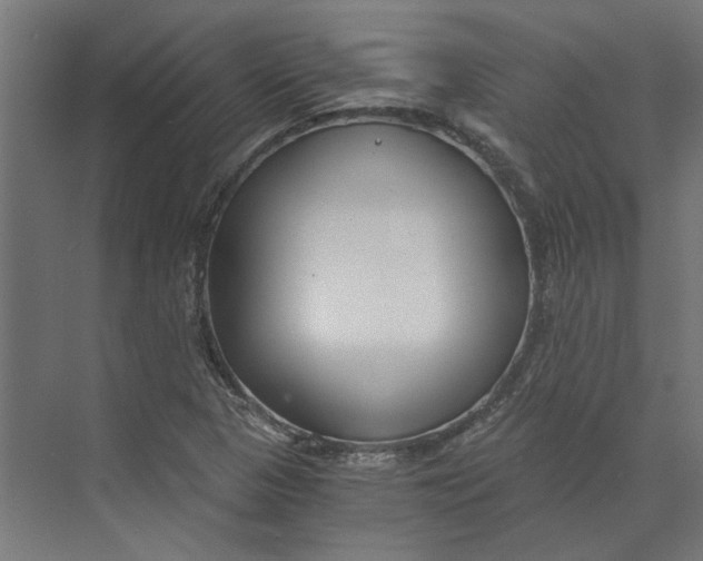 X0000073701313200608241407