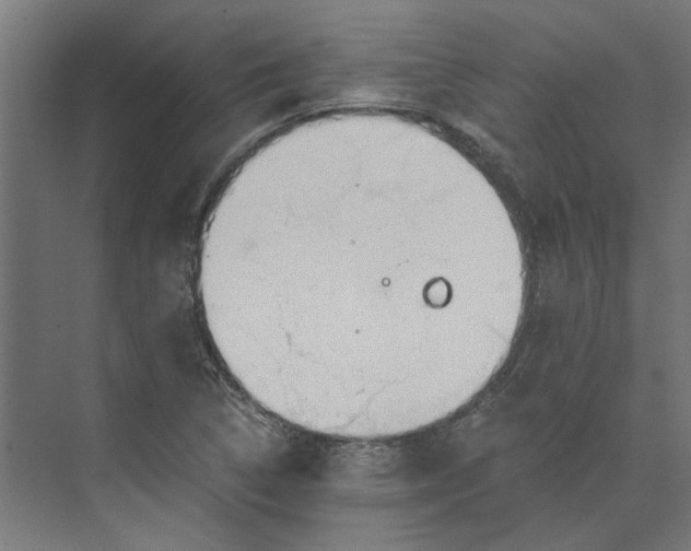 X0000073701314200608241407