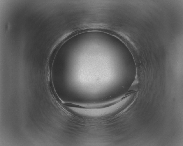 X0000073701317200608241407