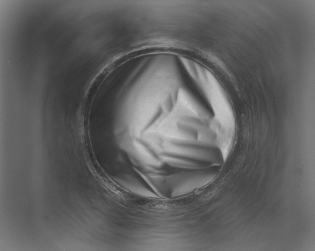 X0000073701318200608241407