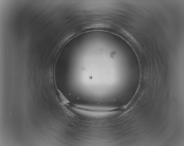 X0000073701321200608241407