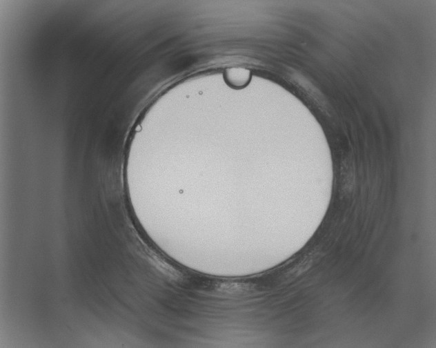 X0000073701322200608241407