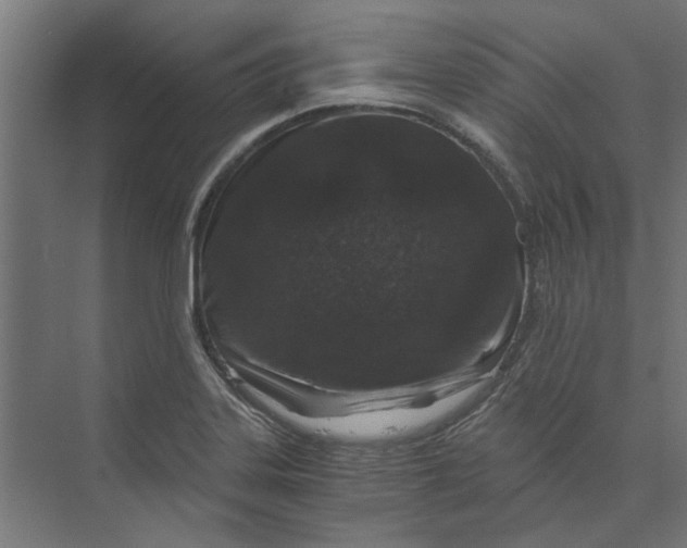 X0000073701323200608241407