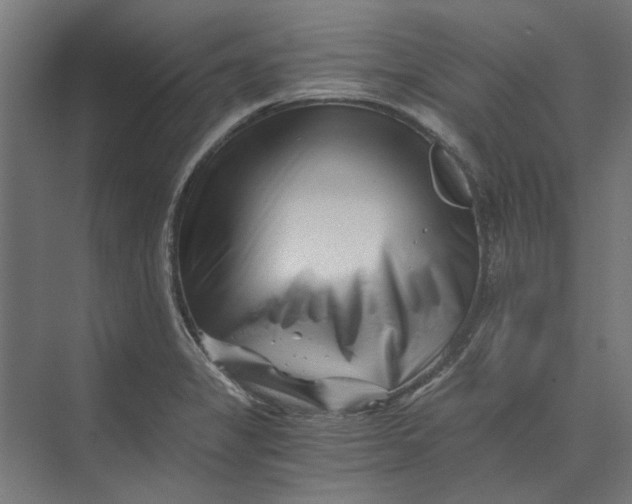 X0000073701325200608241407