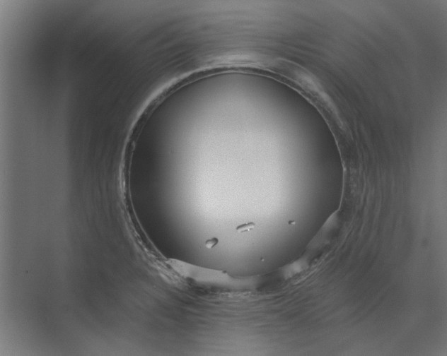 X0000073701328200608241407