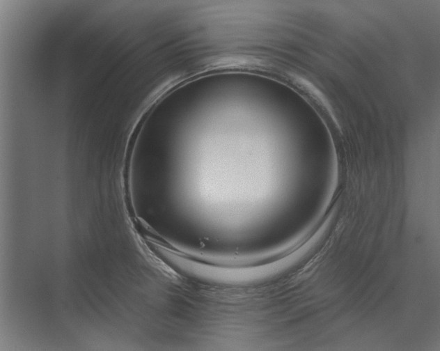 X0000073701330200608241407