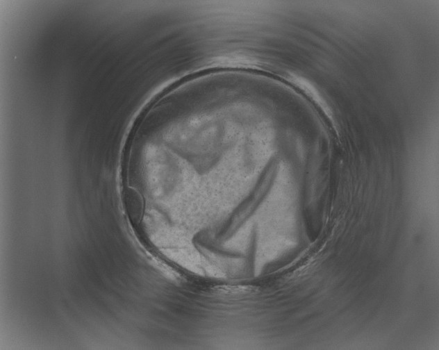 X0000073701331200608241407