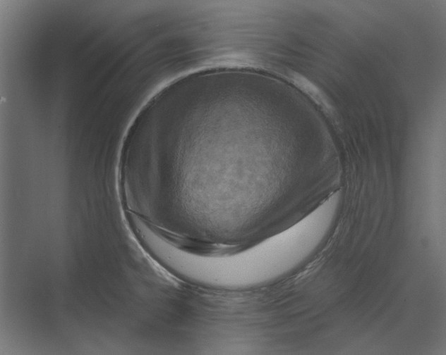 X0000073701334200608241407