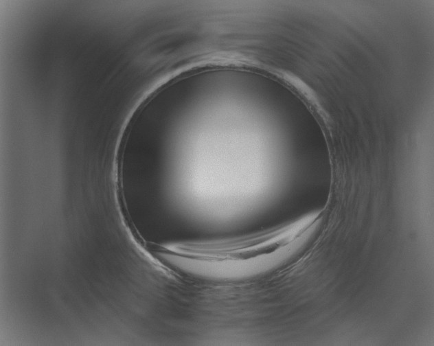 X0000073701335200608241407