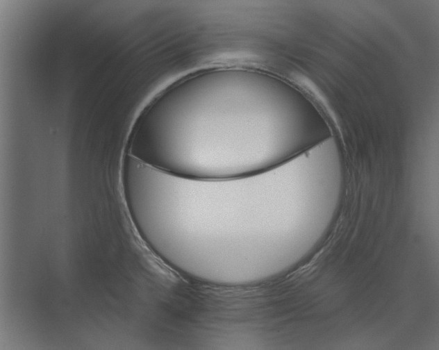 X0000073701336200608241407