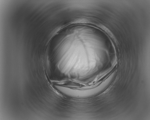 X0000073701337200608241407