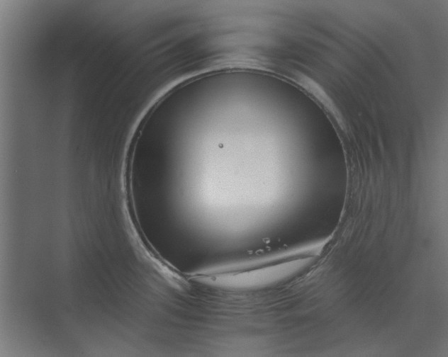 X0000073701339200608241407