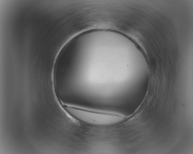 X0000073701343200608241407