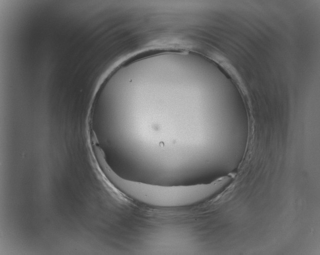 X0000073701344200608241407