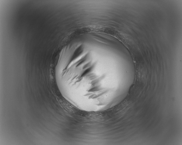 X0000073701346200608241406