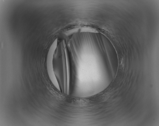 X0000073701348200608241406