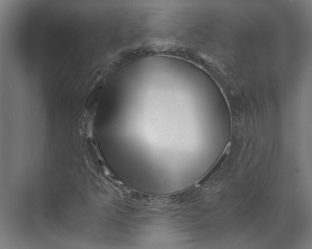 X0000073701349200608241406