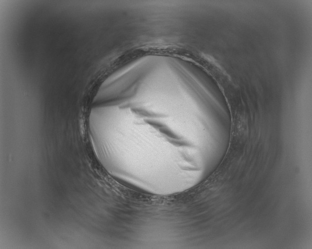 X0000073701350200608241406