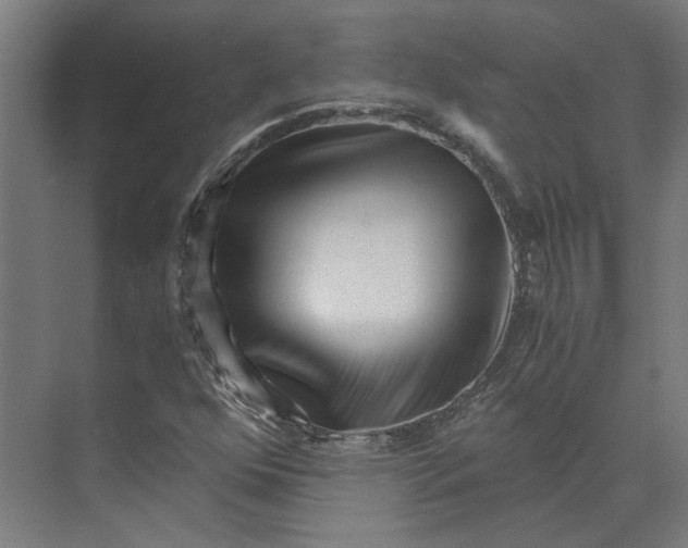 X0000073701352200608241406