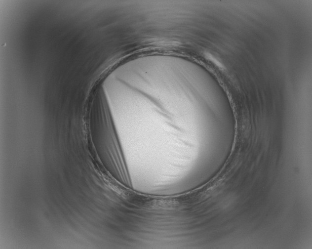 X0000073701354200608241406