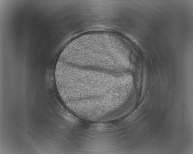 X0000073701355200608241406