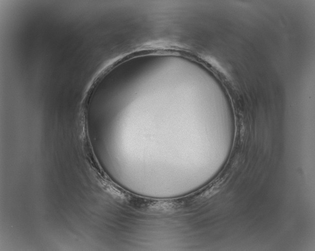 X0000073701358200608241406