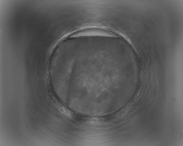 X0000073701359200608241406