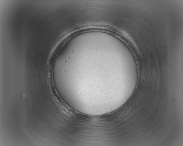 X0000073701360200608241406