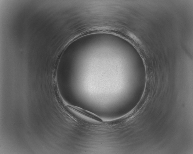 X0000073701361200608241406