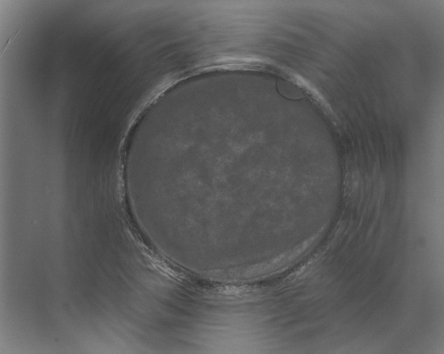 X0000073701362200608241406