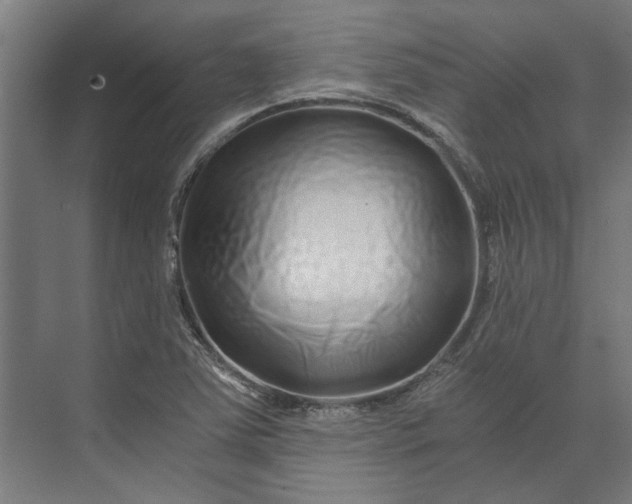 X0000073701363200608241406