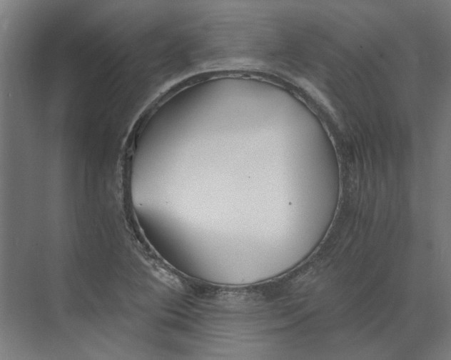 X0000073701364200608241406