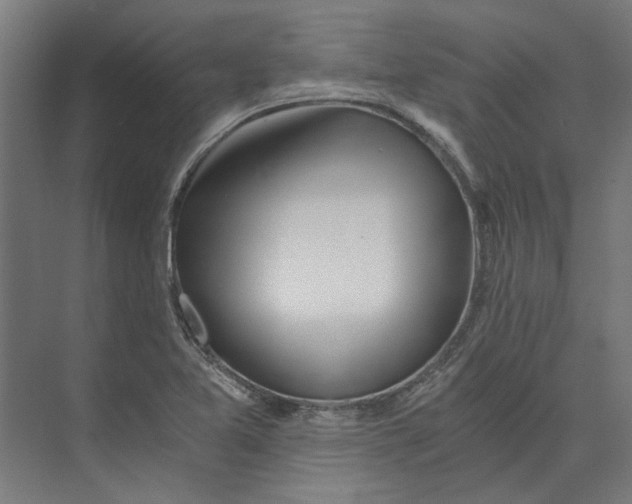 X0000073701365200608241406