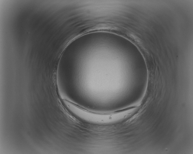 X0000073701369200608241406