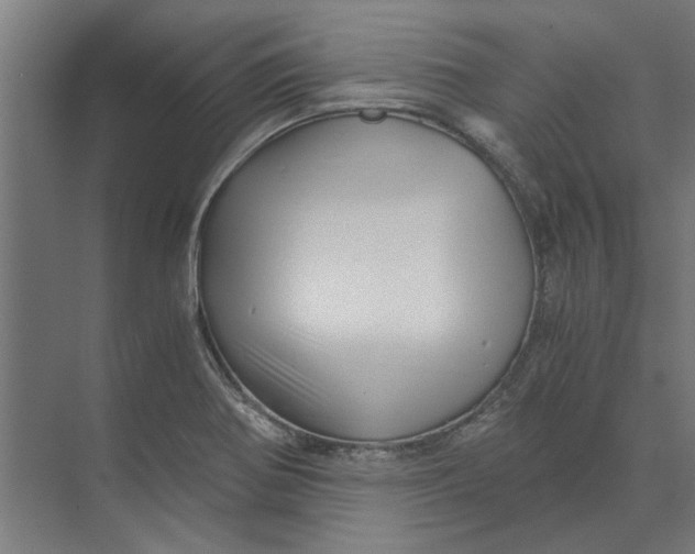 X0000073701370200608241406