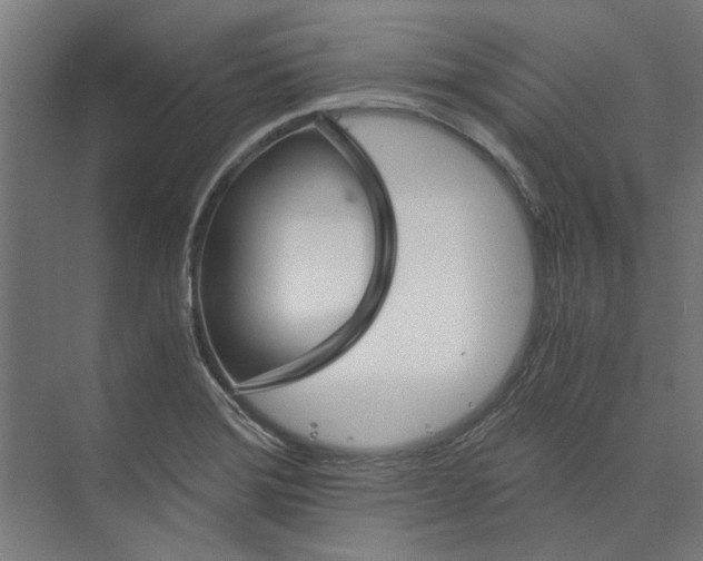 X0000073701372200608241406