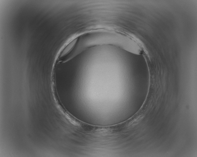 X0000073701373200608241406