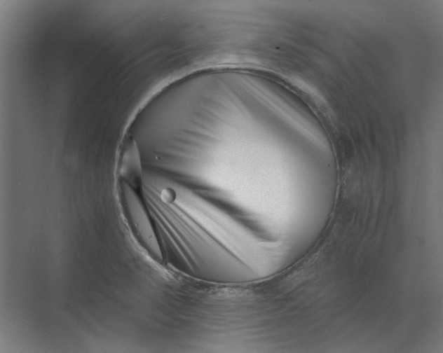 X0000073701374200608241406