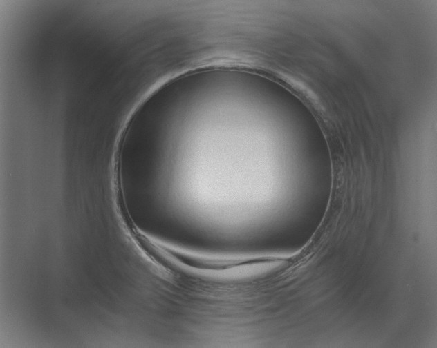 X0000073701375200608241406